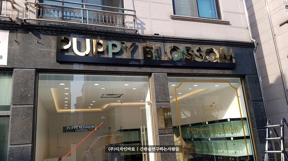 [동탄간판] PUPPY BLOSSOM 티타늄 후광 채널