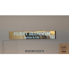 [동탄간판] PUPPY BLOSSOM 티타늄 간판