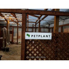 [김포간판] PETPLANT 아크릴 큐브간판